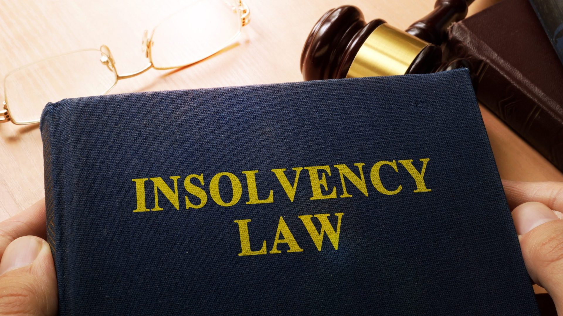 Insolvency Litigation Services