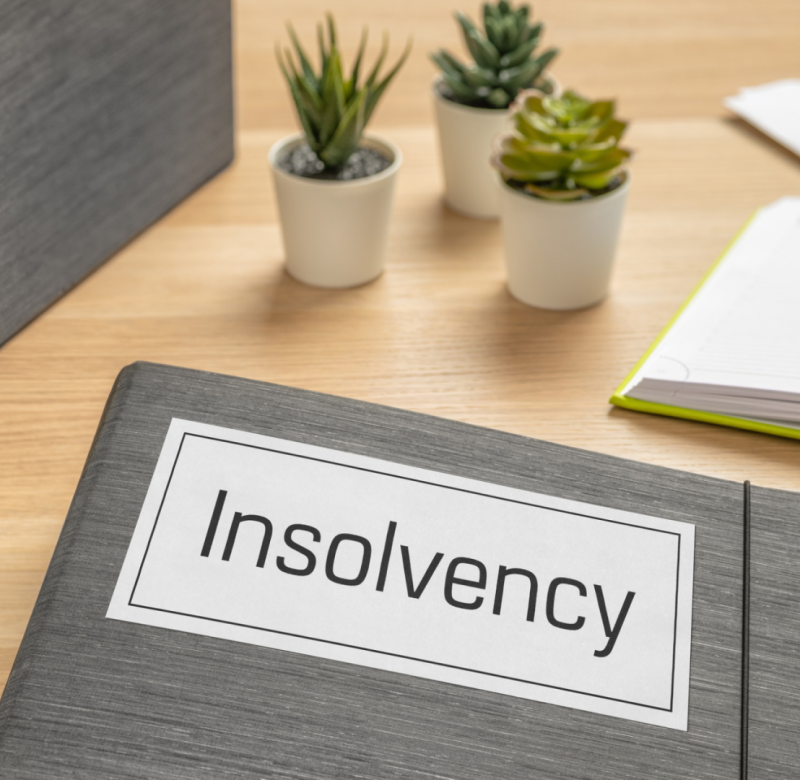 Insolvency Litigation Lawyer